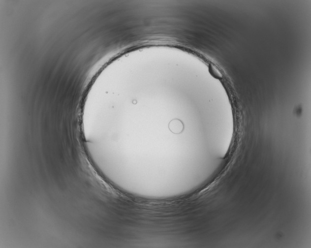 X0000115001325200912071130