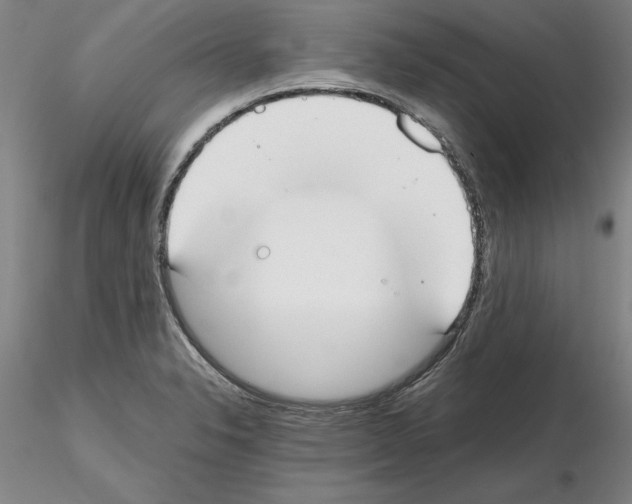 X0000115001326200912071130