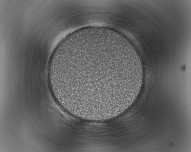 X0000115001327200912071131