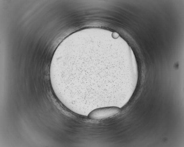 X0000115001329200912071131