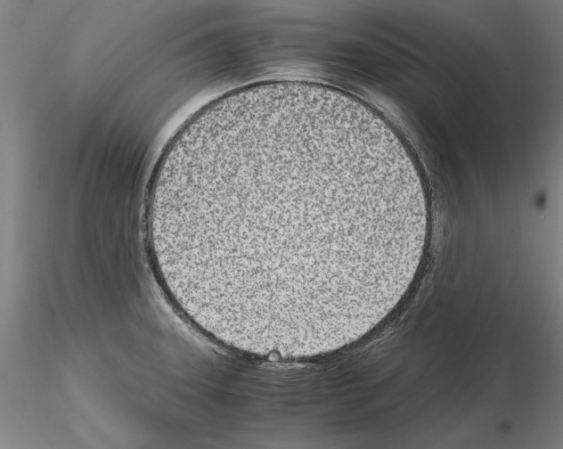 X0000115001331200912071131