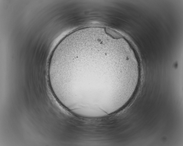 X0000115001333200912071131