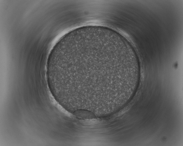 X0000115001334200912071131