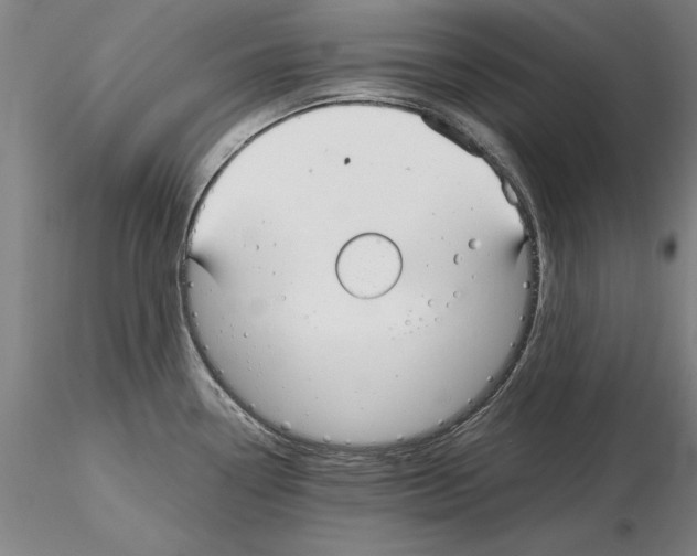 X0000115001338200912071131