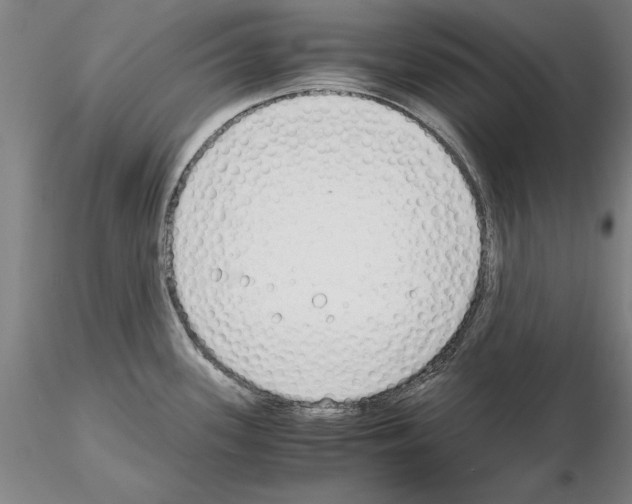 X0000115001339200912071131