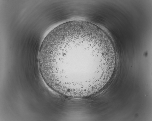 X0000115001343200912071131