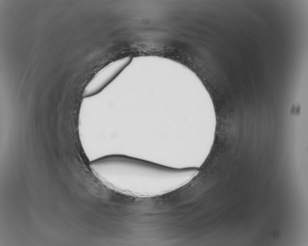 X0000115001345200912071130