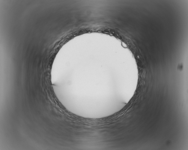 X0000115001349200912071130