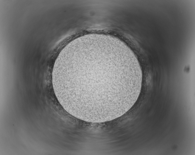 X0000115001350200912071130