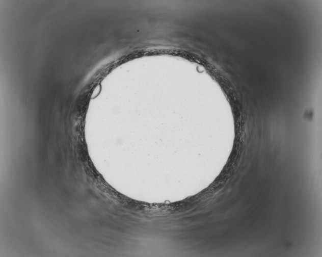 X0000115001351200912071130