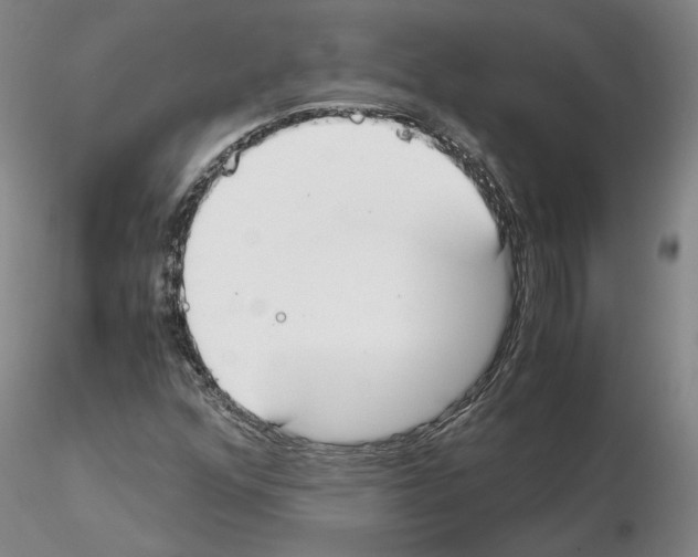 X0000115001352200912071130