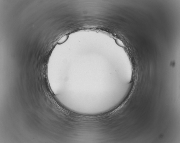 X0000115001353200912071130