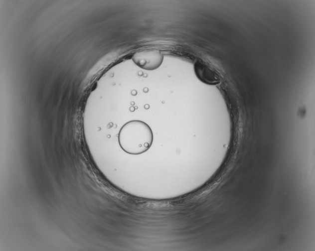 X0000115001354200912071130