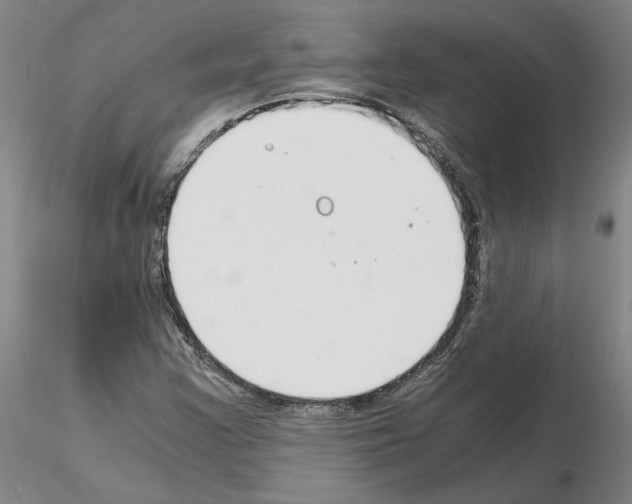 X0000115001355200912071130