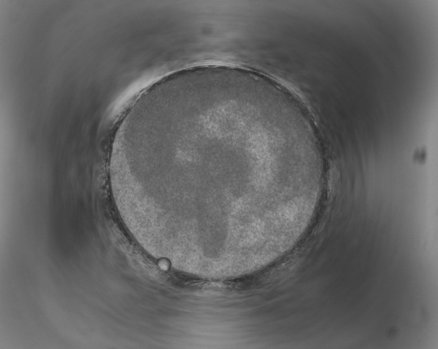 X0000115001359200912071130