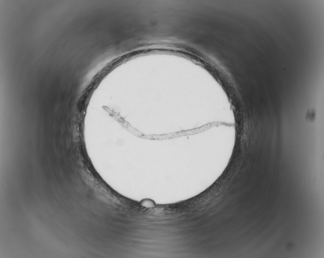 X0000115001360200912071130