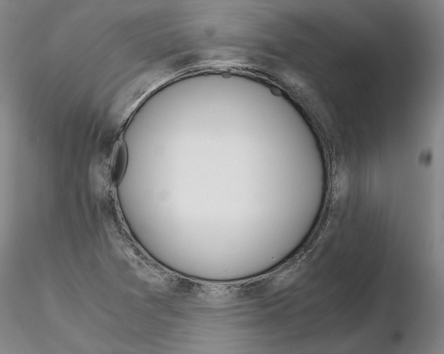 X0000115001361200912071130