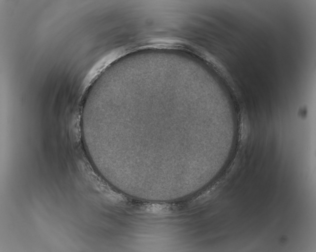 X0000115001362200912071130