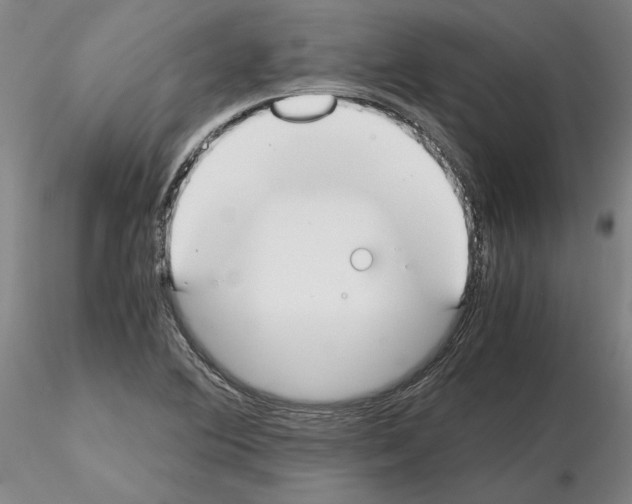 X0000115001364200912071130