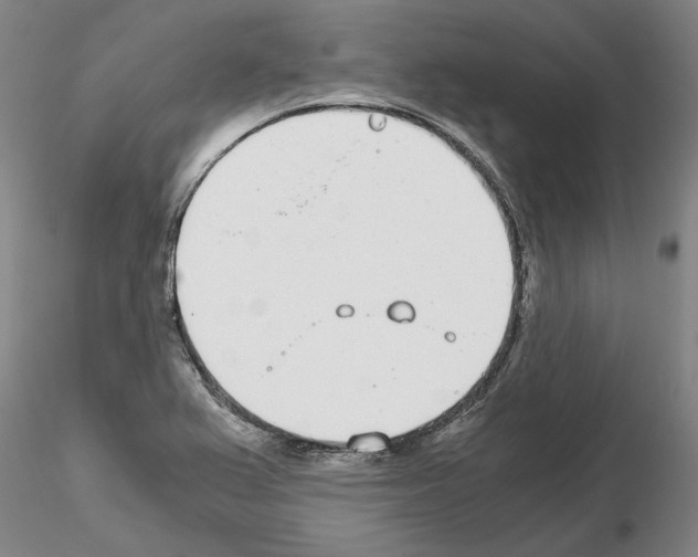 X0000115001367200912071130