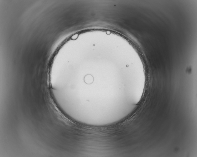 X0000115001368200912071130