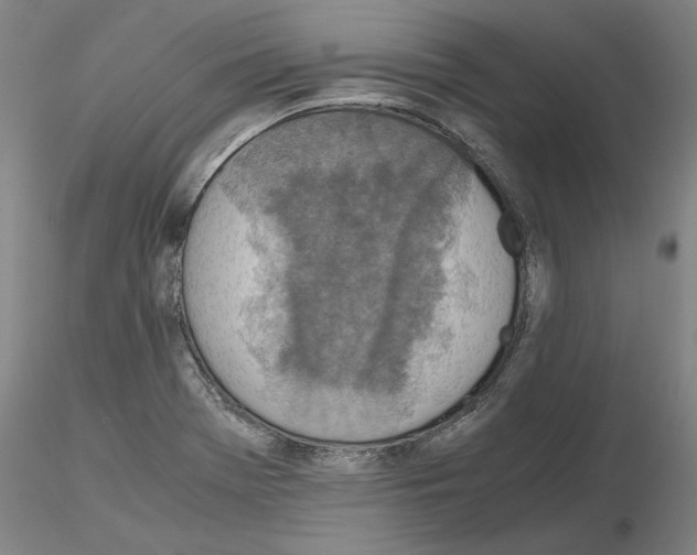 X0000115001369200912071130