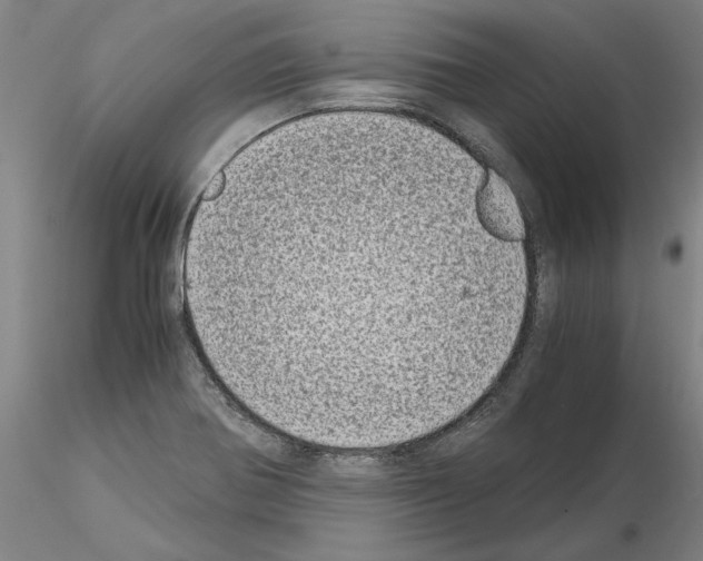 X0000115001370200912071130