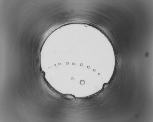 X0000115001371200912071130