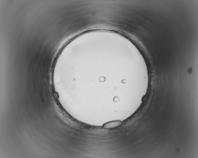 X0000115001372200912071130