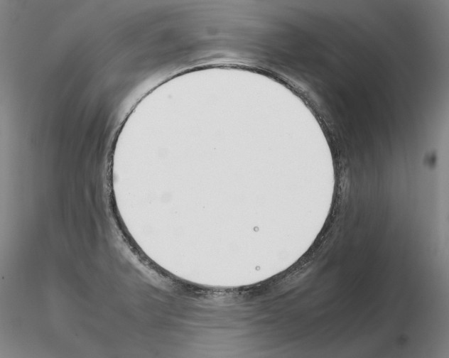 X0000115001375200912071129