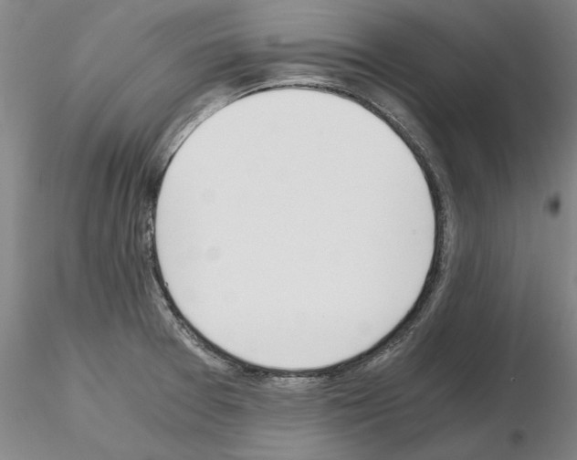 X0000115001377200912071129