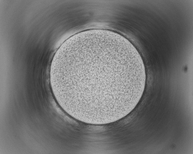 X0000115001382200912071129