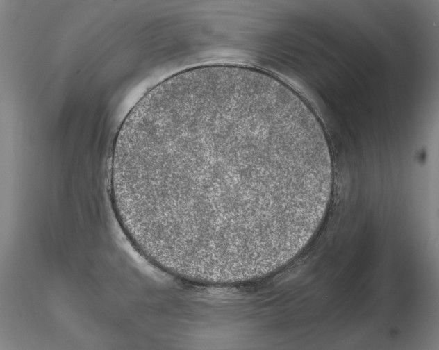 X0000115001383200912071129