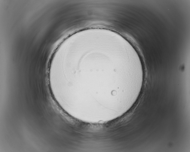 X0000115001384200912071129