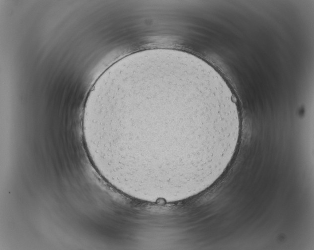 X0000115001386200912071129