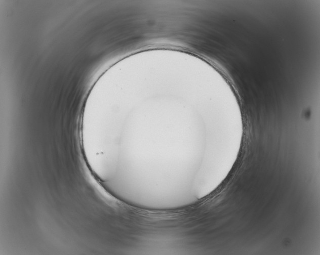 X0000115001391200912071129