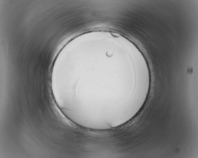 X0000115001392200912071129