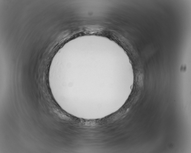 X0000115001393200912071129