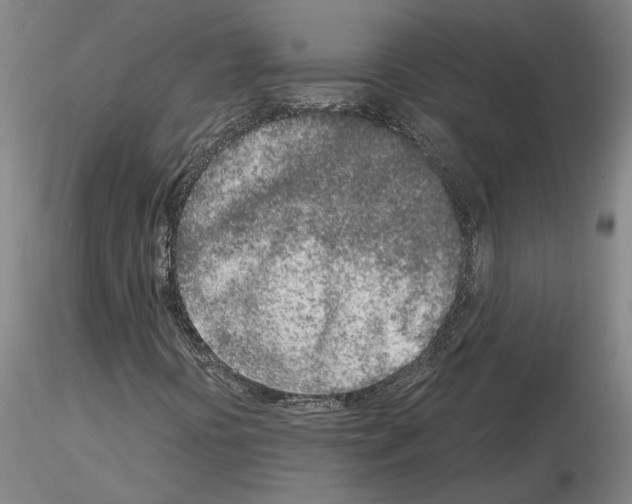 X0000115001394200912071129