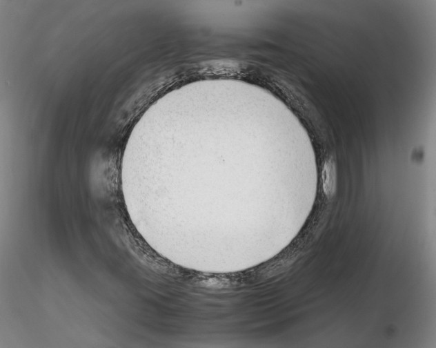 X0000115001395200912071129