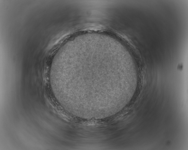 X0000115001399200912071129