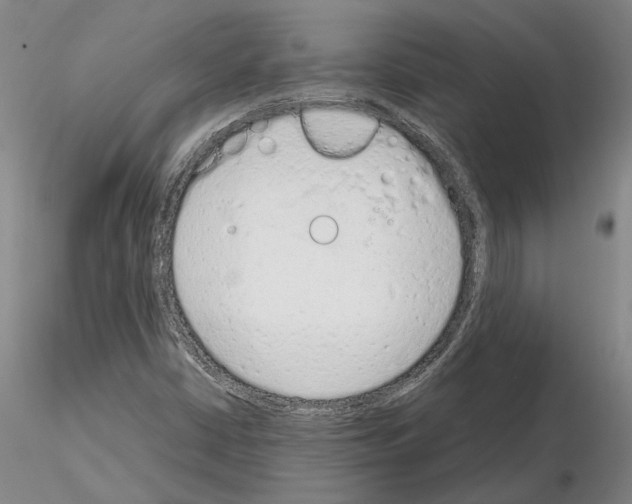 X0000115001402200912071129