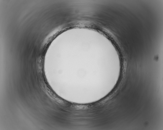 X0000115001403200912071129