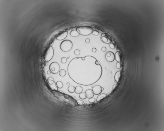 X0000115001404200912071129