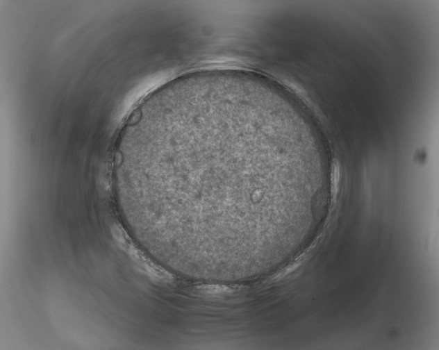 X0000115001405200912071129