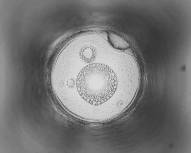 X0000115001406200912071129