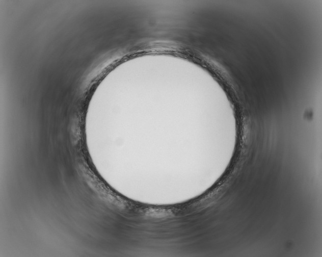 X0000115001407200912071129