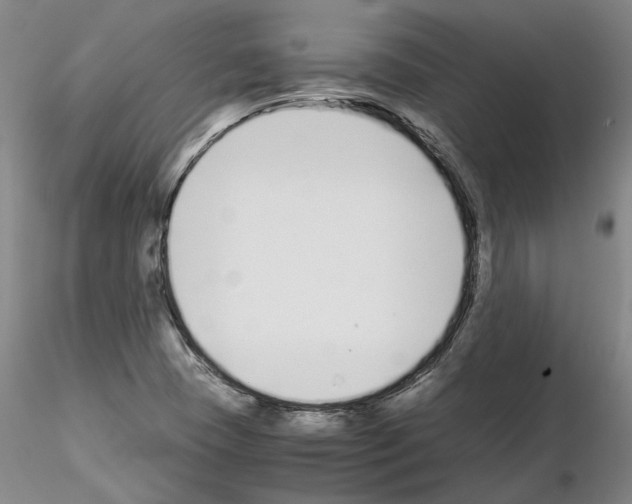 X0000115001409200912071129