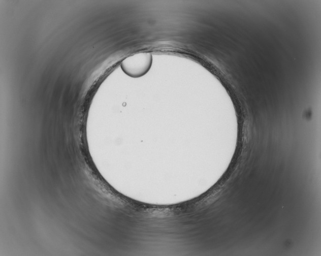 X0000115001410200912071129