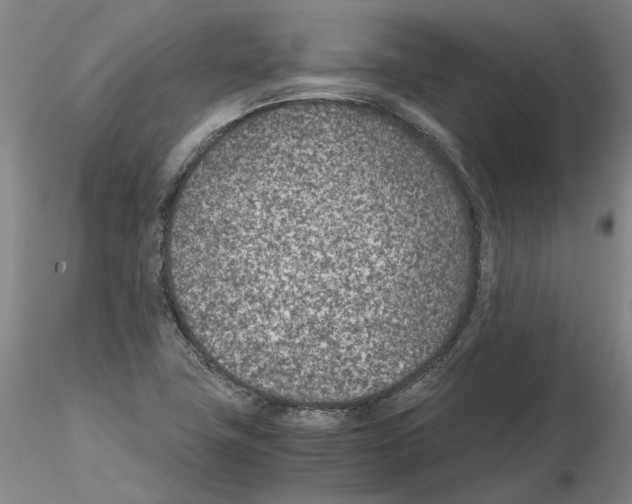 X0000115001411200912071129